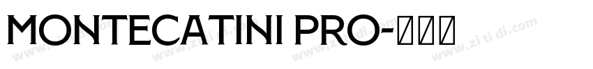 Montecatini Pro字体转换